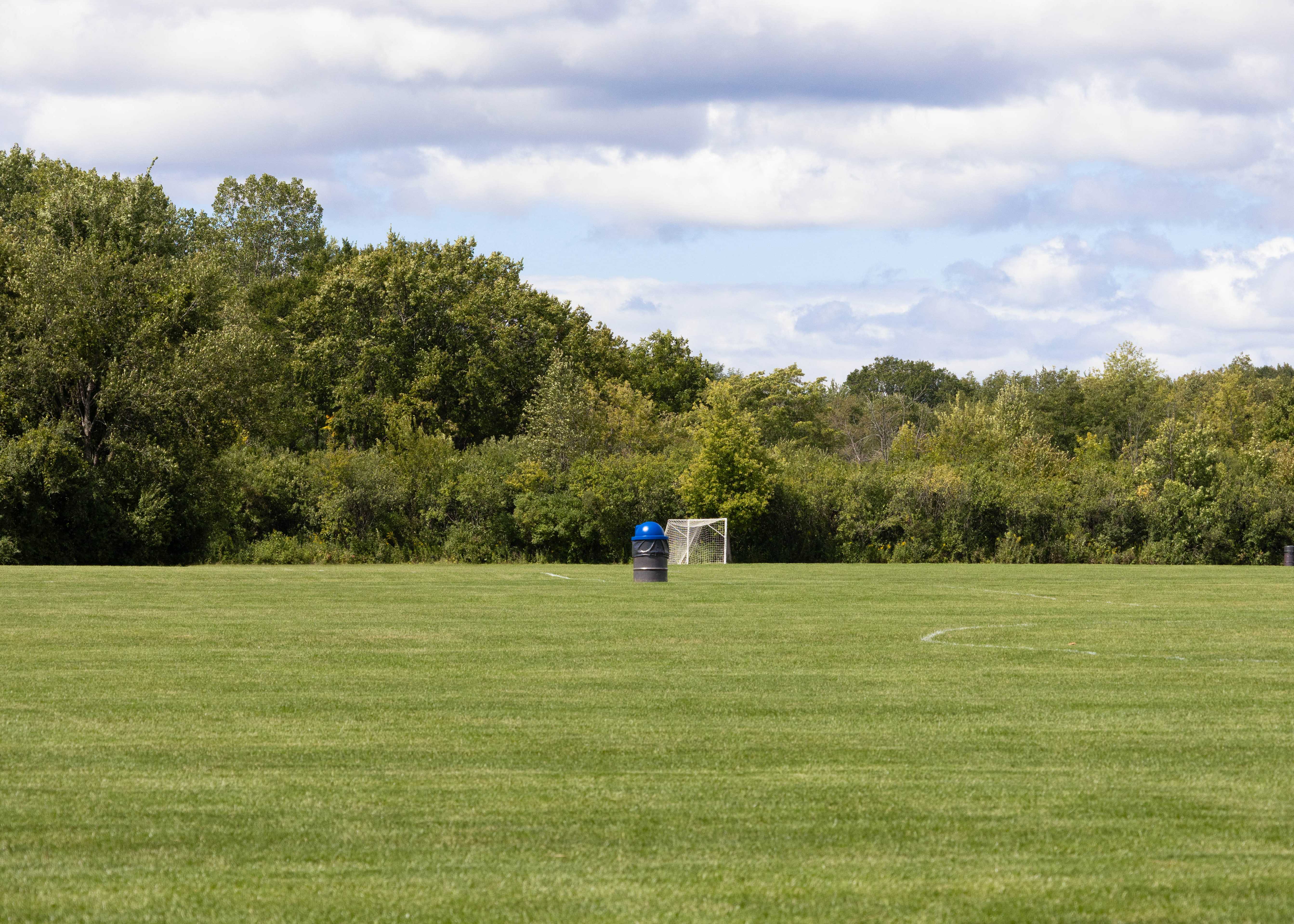 Horizontally flipped image