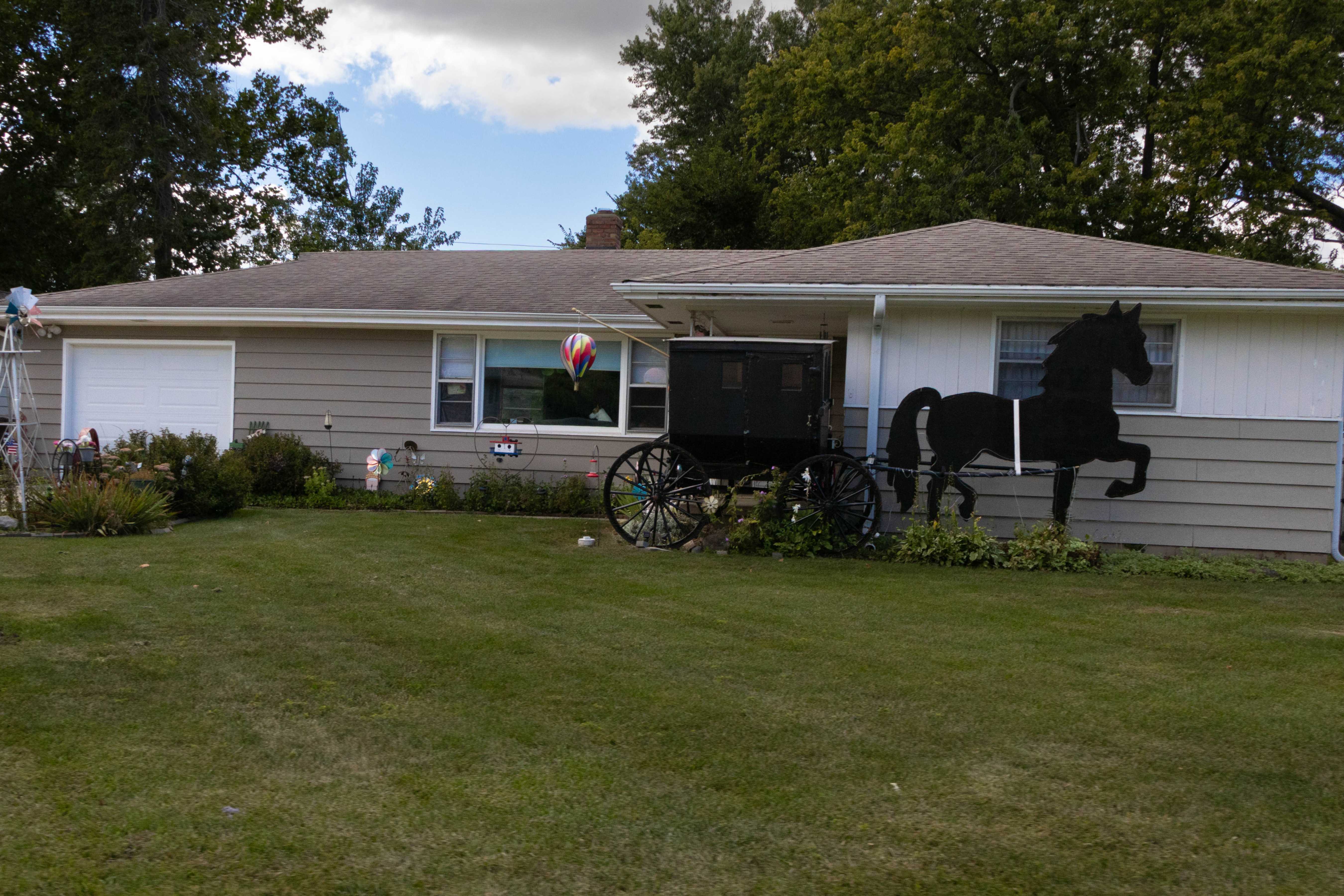 Image with corrected horizon