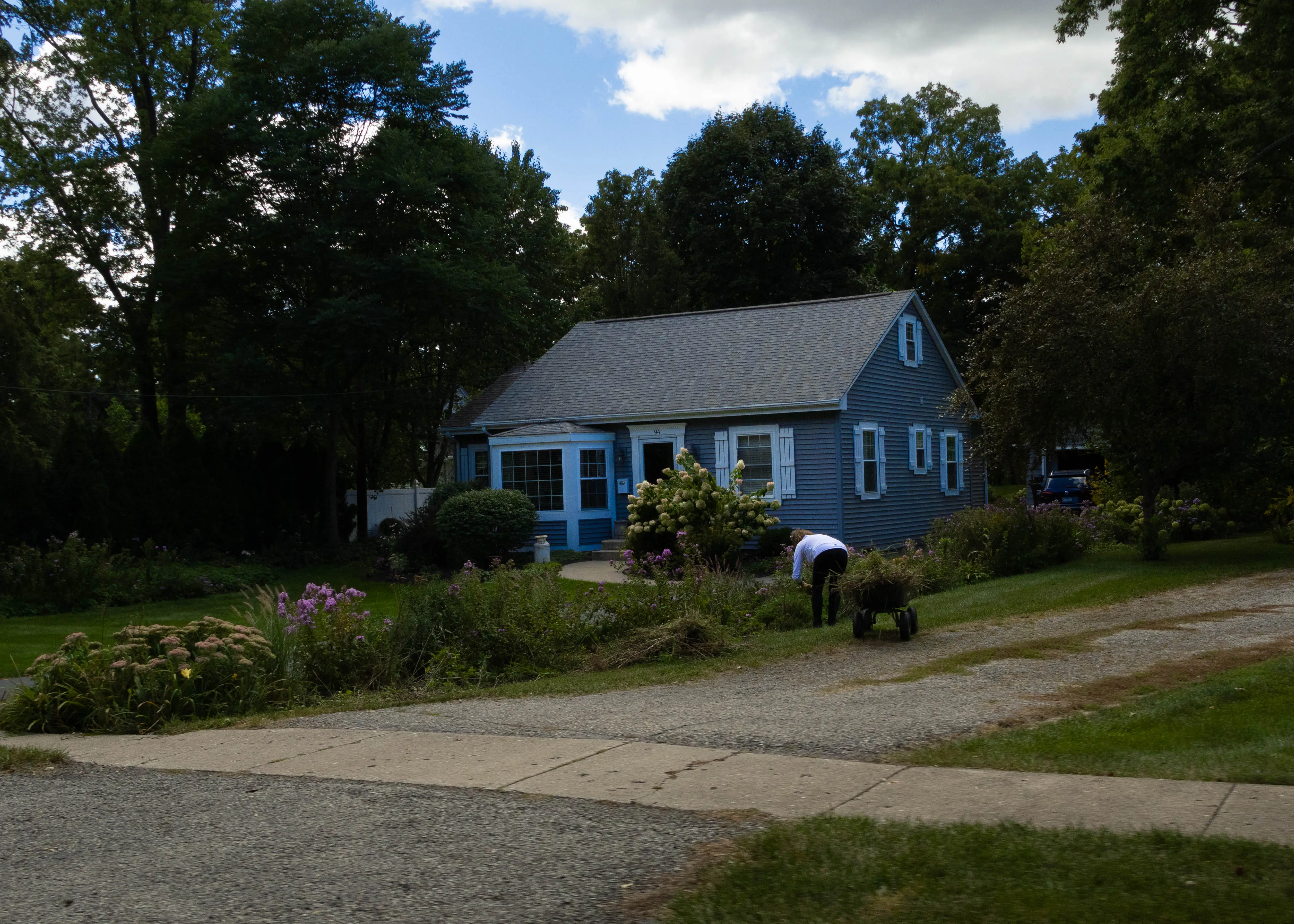 Optimized JPG or WebP